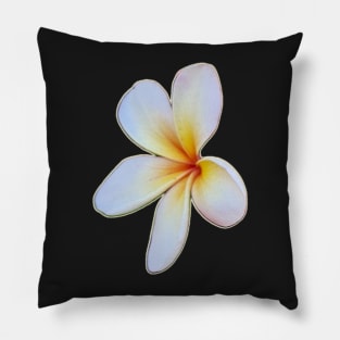 Mango Delight separated 1 bloom Pillow