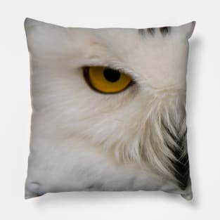 Snowy Owl Pillow