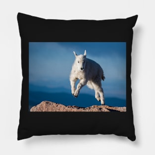 Jumping For Joy Pillow