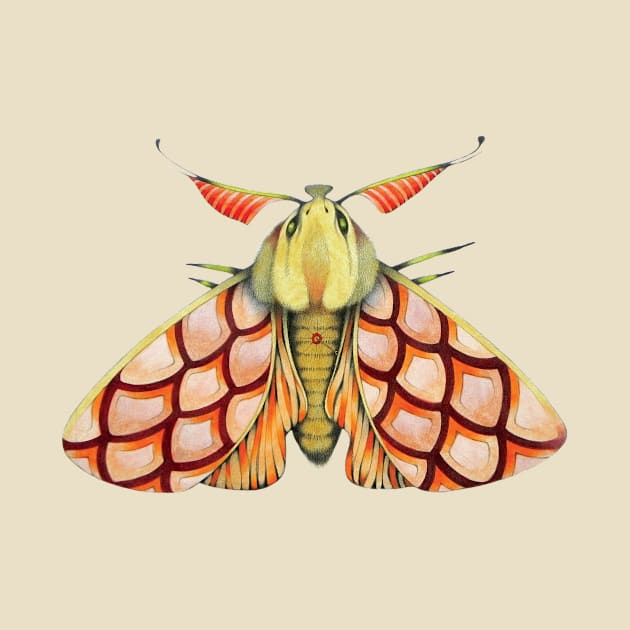 Pink moth by federicocortese