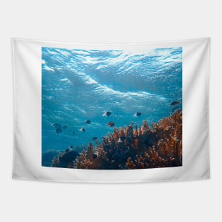 Underwater photography Tapestry