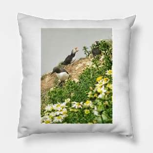 Puffins Pillow