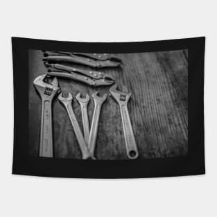 Wrenches, mole grips and spanners Tapestry