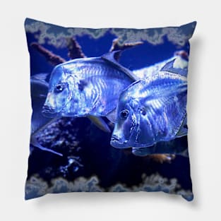 Lookdown Fish Pillow