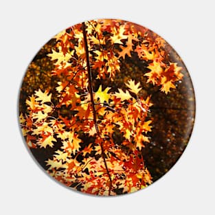 Autumn Leaves Pin