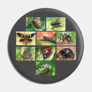 Insects Pin