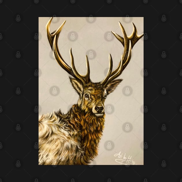 Scottish Highland Stag by Artbythree