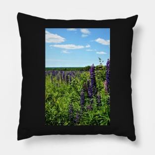 Lupins in the wild P.E.I. Pillow