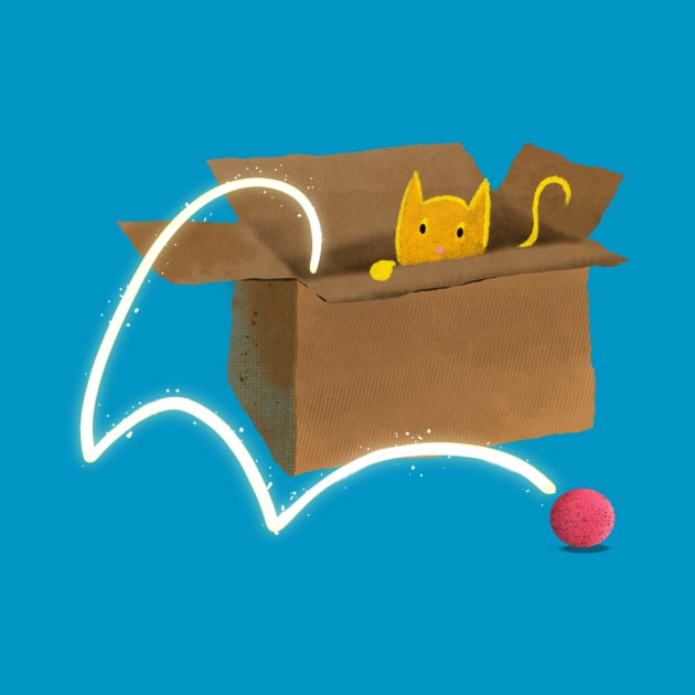 Cat in a Box by Johnny Yellow