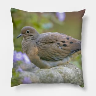 Mourning Dove On Bird Bath Pillow