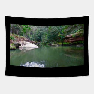 The Bush Waterhole! Tapestry