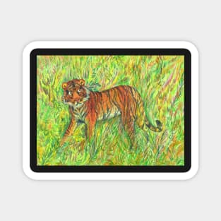 Tiger in Green Jungle Magnet