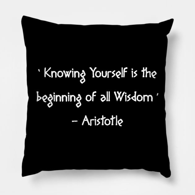 Know Thyself Pillow by Scar