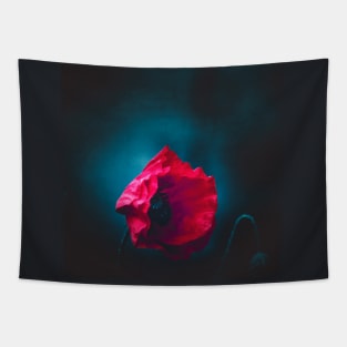 Night Poppy Tapestry