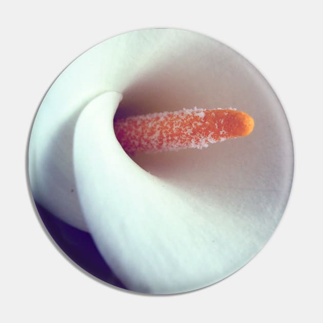 White Calla Lily Close Up Pin by SomewhereHere