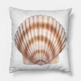 Bay Scallop Pillow