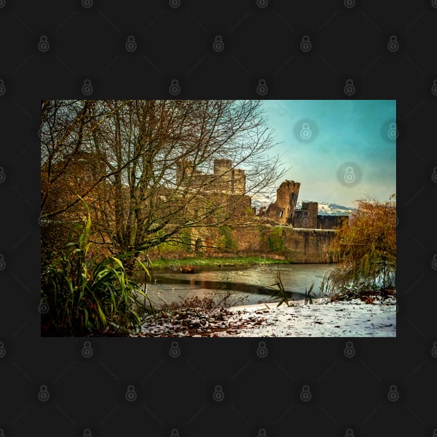 Winter at Caerphilly Castle by IanWL