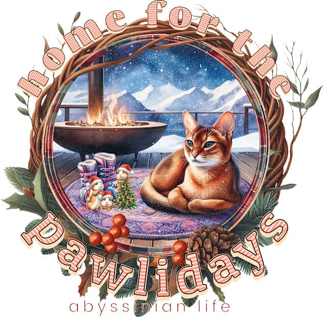 Home For The Holidays Aspen Abyssinian Life 25A Kids T-Shirt by catsloveart