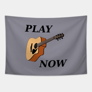 Play Acoustic Guitar Now Tapestry