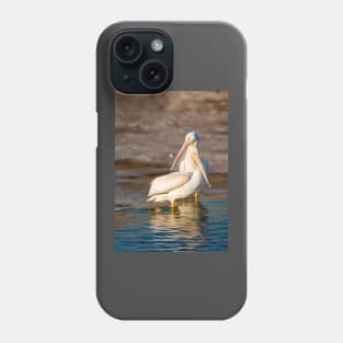 Pelican Togetherness by Debra Martz Phone Case