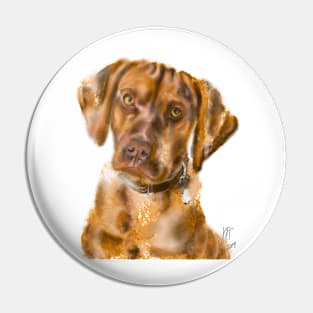 A Pensive Vizsla Puppy Pin