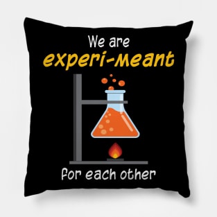 We are EXPERI-MEANT for each other - Science Pun for Couples Pillow