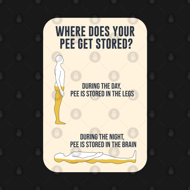 Where does your pee get stored? by artsylab