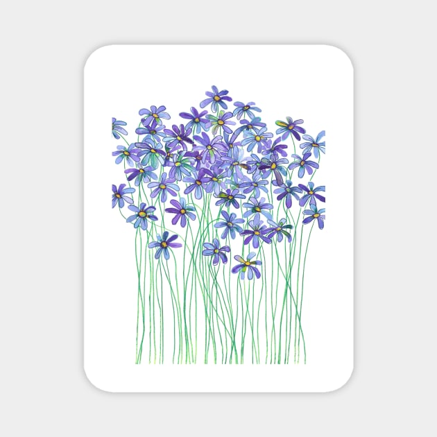 Purple Daisies in Watercolor & Colored Pencil Magnet by micklyn