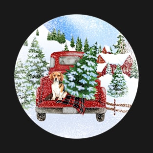 Christmas Beagle T-Shirt