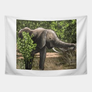 Kruger national park Tapestry