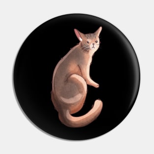 Abyssinian cat - gift for cat lovers Pin