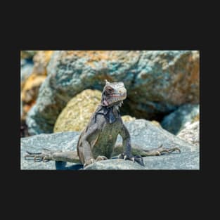 Gymnast Iguana Doing a Split T-Shirt