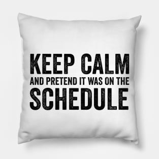 Keep Calm and Pretend It's on the Schedule shirt, Vetmed shirt, Work Life Pillow