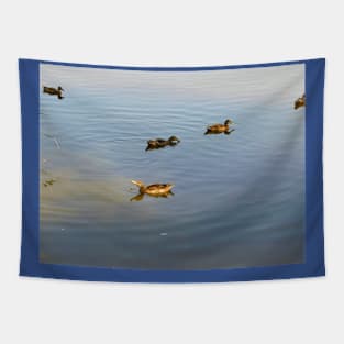 Nice day for a swim Tapestry