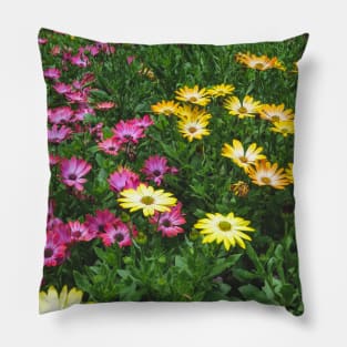 Yellow and pink flowers Pillow