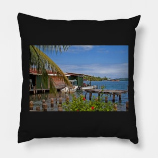 Panama. Bocas del Toro. Colon Island. Pillow