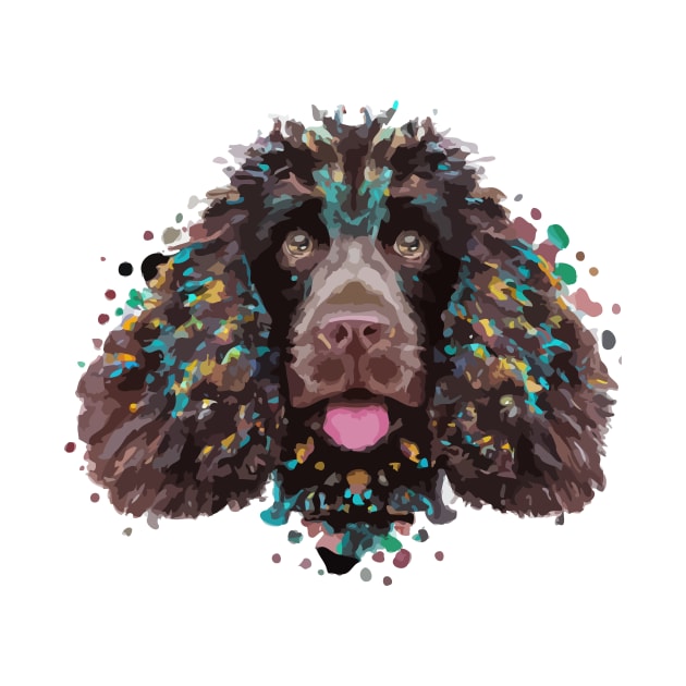 American Water Spaniel Dog by Furrban