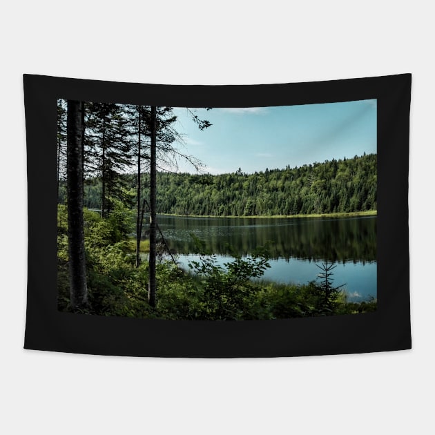 Forest lake Tapestry by lightsfromspace