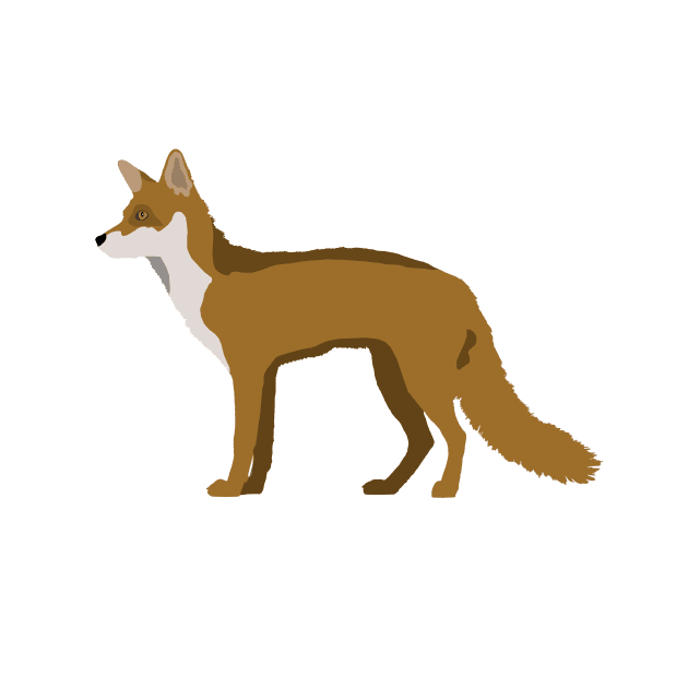 Fox by MuskegonDesigns