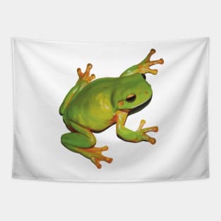 Gorgeous Green Tree Frog. Australian green frog. Cute frog illustration, realistically drawn Tapestry