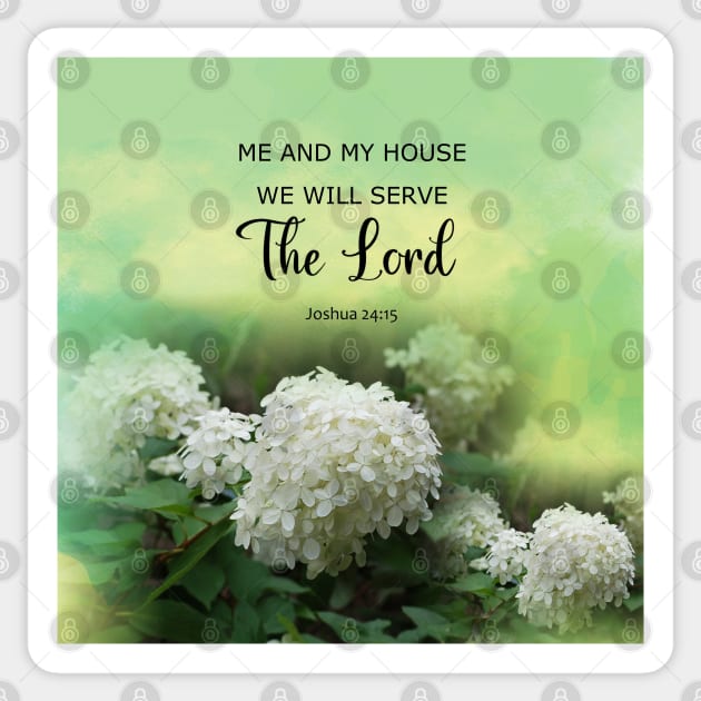 Hydrangea - 24 Verses Hydrangea - 24 Verses