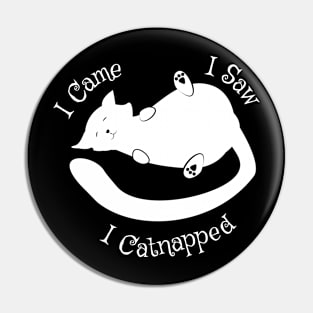 I Came I Saw Catnapped Cute Cat Pin