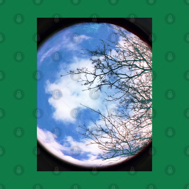 Planet Earth Environment with Blue Sky, White Cloud and Winter Tree by Supertonic