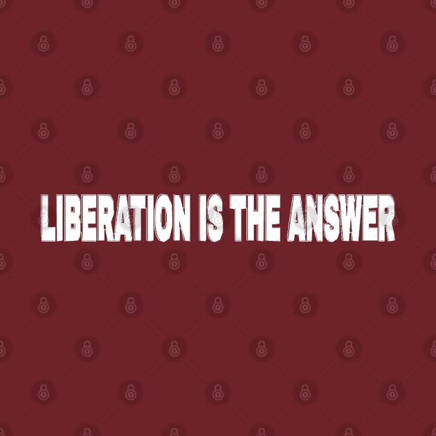 LIBERATION Is The Answer - Kwame Ture - Stokely Carmichael - Zionism = Stolen Land - Double-sided by SubversiveWare