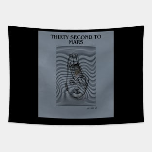 TSTM Tapestry