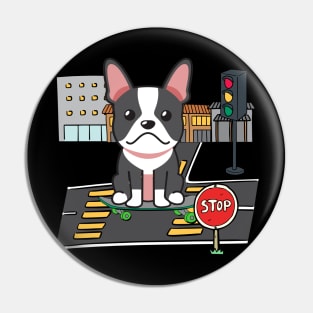 Funny french bulldog is on a skateboard Pin