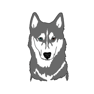 Gray and white husky with wall eyes T-Shirt