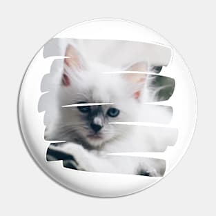 funny cat, cats lover Pin