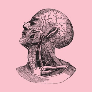 Anatomy head T-Shirt