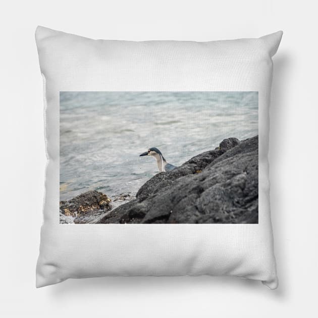 Black-crowned night heron of hawaii 5 Pillow by KensLensDesigns